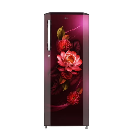 LG Refrigerator GL-D2736YBRW – 260L Double Door | Smart Inverter | Wine Blossom