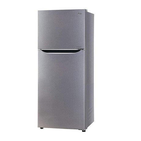 Fridge Excellence: LG 260 L Double Door Refrigerator (Dazzle Steel)