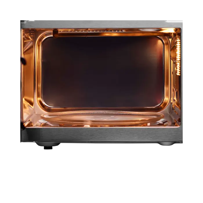 IFB 25 L Convection Microwave Oven (25SC4, Metallic Silver, With Starter Kit)