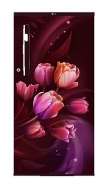 LG 185 Ltr, 1 Star, Direct Cool Single Door Refrigerator (GL-B199OSTB)