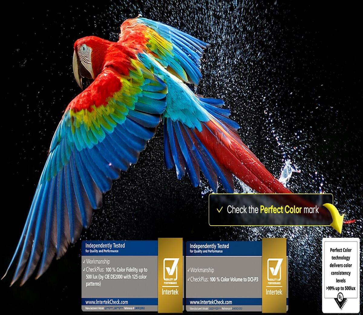 LG OLED evo 139cm (55) TV , α9 AI Processor 4K Gen8, Dolby Vision, Dolby Atmos, FILMMAKER MODE™,OLED55C56LA 2025