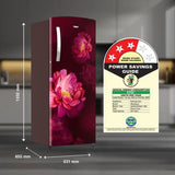 Whirlpool 207 L 3 Star Icemagic Pro Inverter Direct-Cool Single Door Refrigerator (230 IMPRO PRM 3S WINE PEONY-Z)