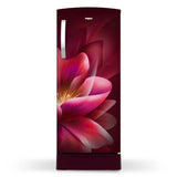 Whirlpool 192L 3 Star Single-Door Refrigerator with Base Drawer | Ice magic Pro | Wine Forest (Wine) | (