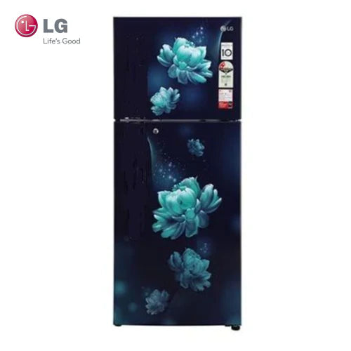 LG 242 L 2 Star Direct-Cool Inverter Single Door Refrigerator (GL-GLN292BBCY)