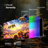 Sansui 140cm (55 Inches) 4K Ultra HD Smart Google LED TV - HDR10+, HLG, DTS Studio Sound & Dolby Audio, (JSWG55GSUHD)