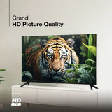 Sansui 80cm (32 Inch) HD LED Smart Google TV - HDR10/HLG, Noise Reduction, Dolby Audio, Google Assistant, JSW32HG5