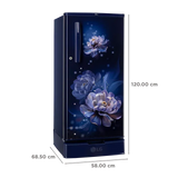LG 185L Single Door Refrigerator | DEFT Technology, 10 Year Warranty, Steel/Blue | GL-D1925WORB
