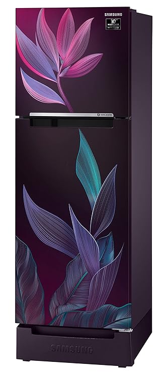 Samsung 236L 2 Star Inverter Frost-Free Double Door Refrigerator (RT28C31429R/HL,Paradise Bloom Purple) Base Stand Drawer)