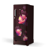 Whirlpool 184L IceMagic PowerCool Single Door Refrigerator with Base Drawer – 2 Star (Belita-Y, 73598)