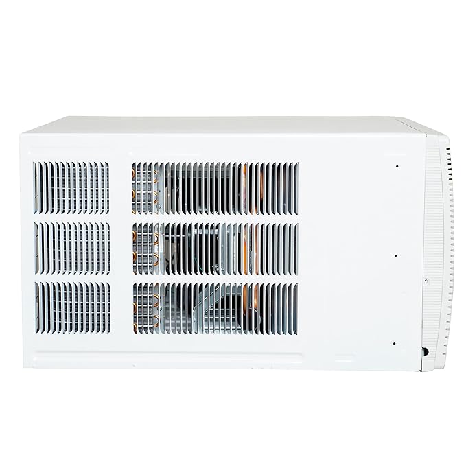 Carrier 1.5Ton 3 Star Copper, Dust Filter & Turbo Mode Window Fixed Speed Air Conditioner(ESTRELLA EX 3 STAR, White)