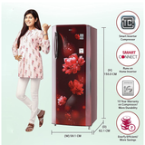 LG Single Door Fridge: 270L, Inverter, Scarlet Charm - Stylish and Efficient