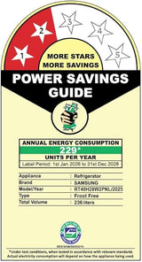 Samsung 236L 2-Star Frost Free Double Door Refrigerator with Digital Inverter (RT40H28W2PNL, Light Doi Metal Silver, 2026 Model)