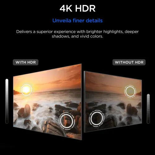TCL P6L 139 cm (55 Inch) 4K HDR Smart Google TV | HVA Panel | AiPQ Processor | Dolby Audio | Game Master | 55P6L