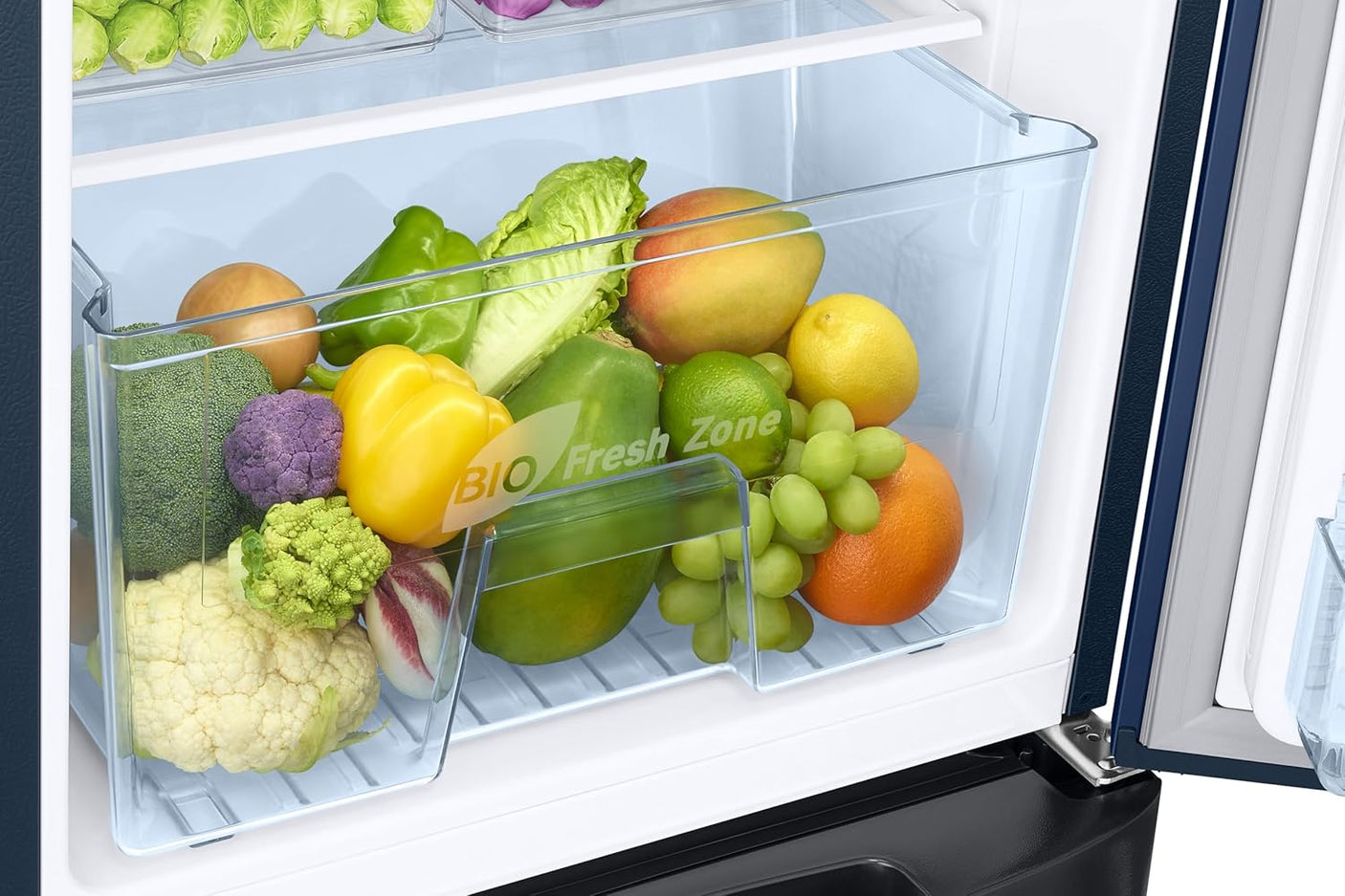 Samsung 183 L, 5 Star, Digital Inverter, Direct-Cool Single Door Refrigerator (RR20D2825CU/NL, Camellia Blue, Base Stand Drawer)