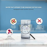 Aquaguard Champ RO+UV Water Purifier (4 Stages, 7L, White)