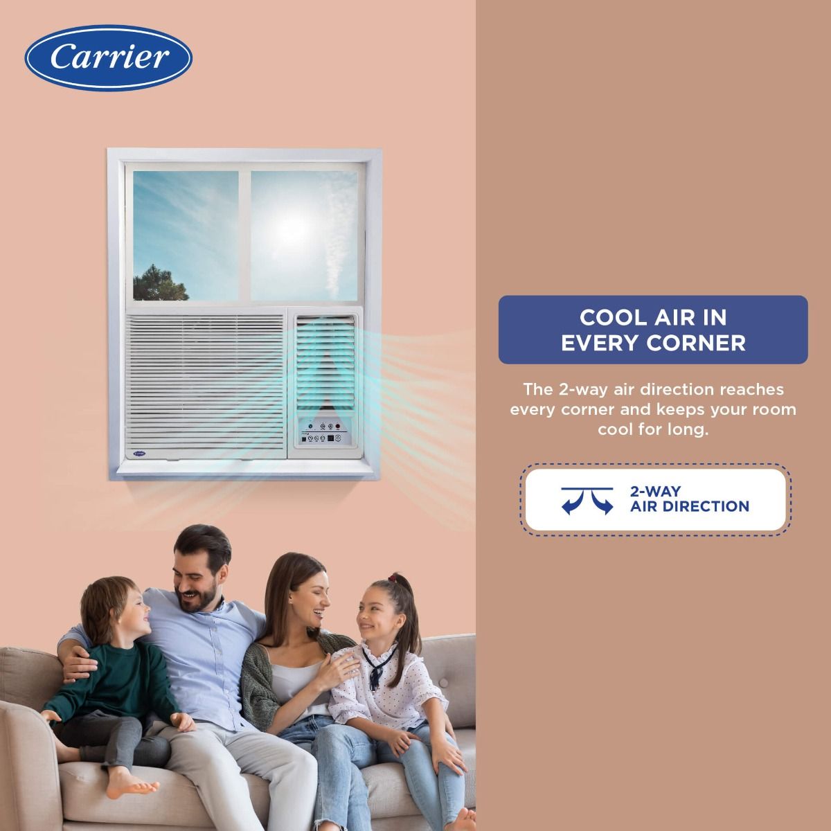 Carrier 2 Ton 3 Star Window AC with Energy Saver Mode (Estrella Fx 24K