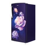 Haier 185 L, 2 Star, Marine Noisettes, Finish Direct Cool Single Door Refrigerator (HRD-2062CMN-N)