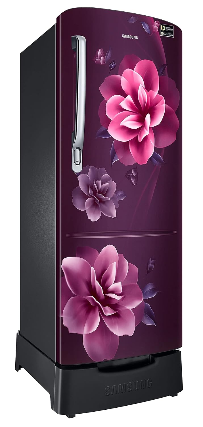 Samsung 223L 3 Star Inverter Direct-Cool Single Door Refrigerator Appliance (RR24C2823CR/NL, Camellia Purple) Base Stand Drawer